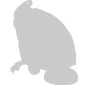 silouette of walk behind scrubber