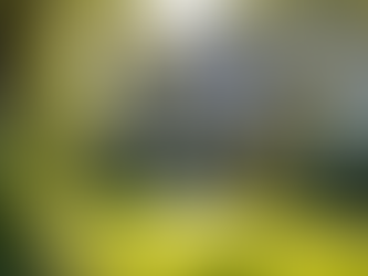 How to Schedule Efficient Rental Inspections in Olympia