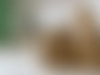 أفضل شركة نقل أثاث 2023 في الأردن