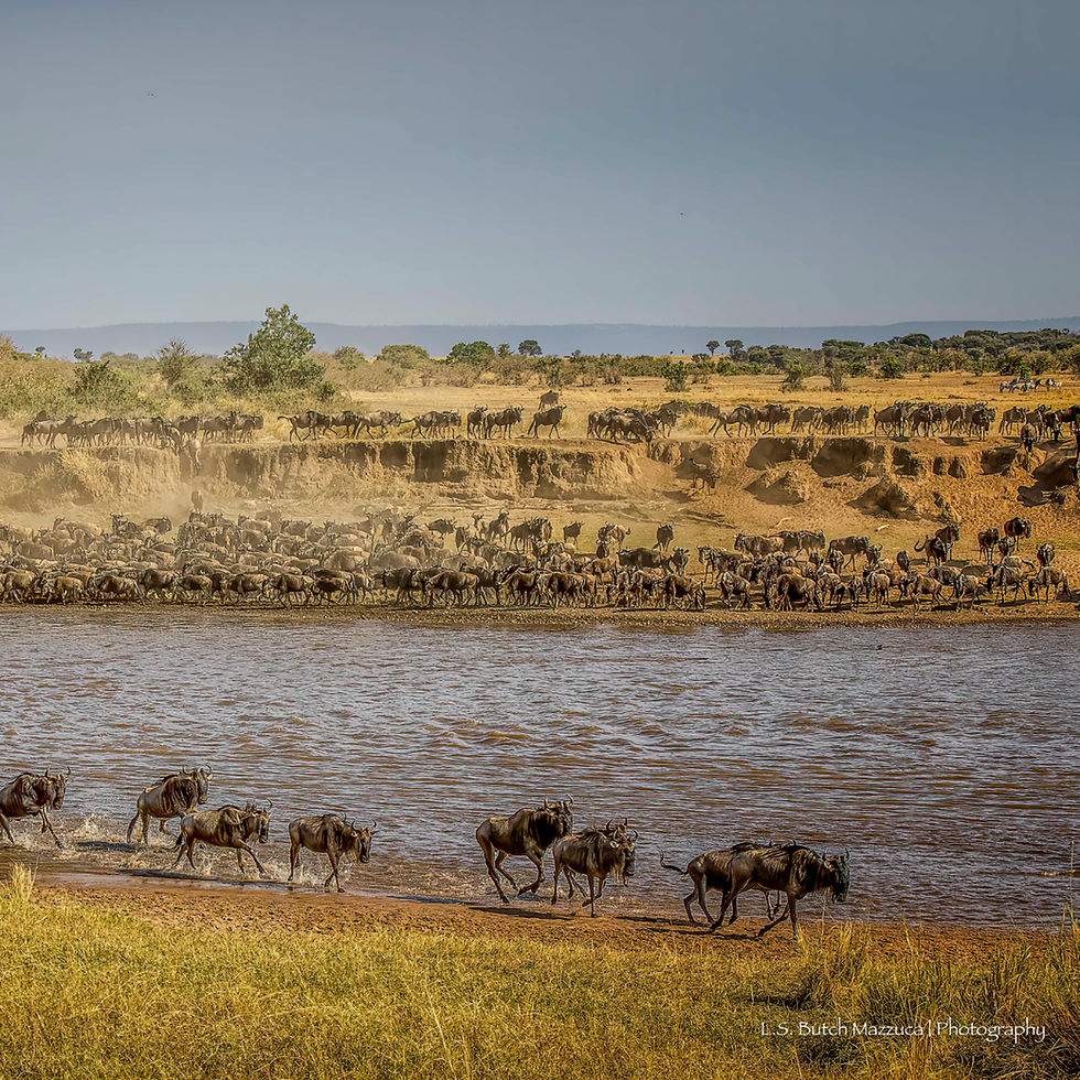 Photography Group Zoom Meeting - Butch Mazzuca: 33 Hacks To Improve Your Scores in Club Competitions