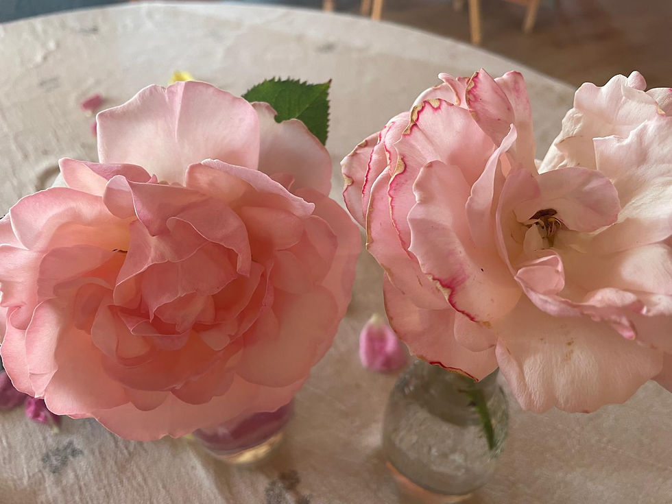 What a Rose Taught Me About Research, Mentoring, and the Art of Waiting