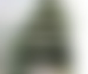 Sette passi per tornare a te respirando