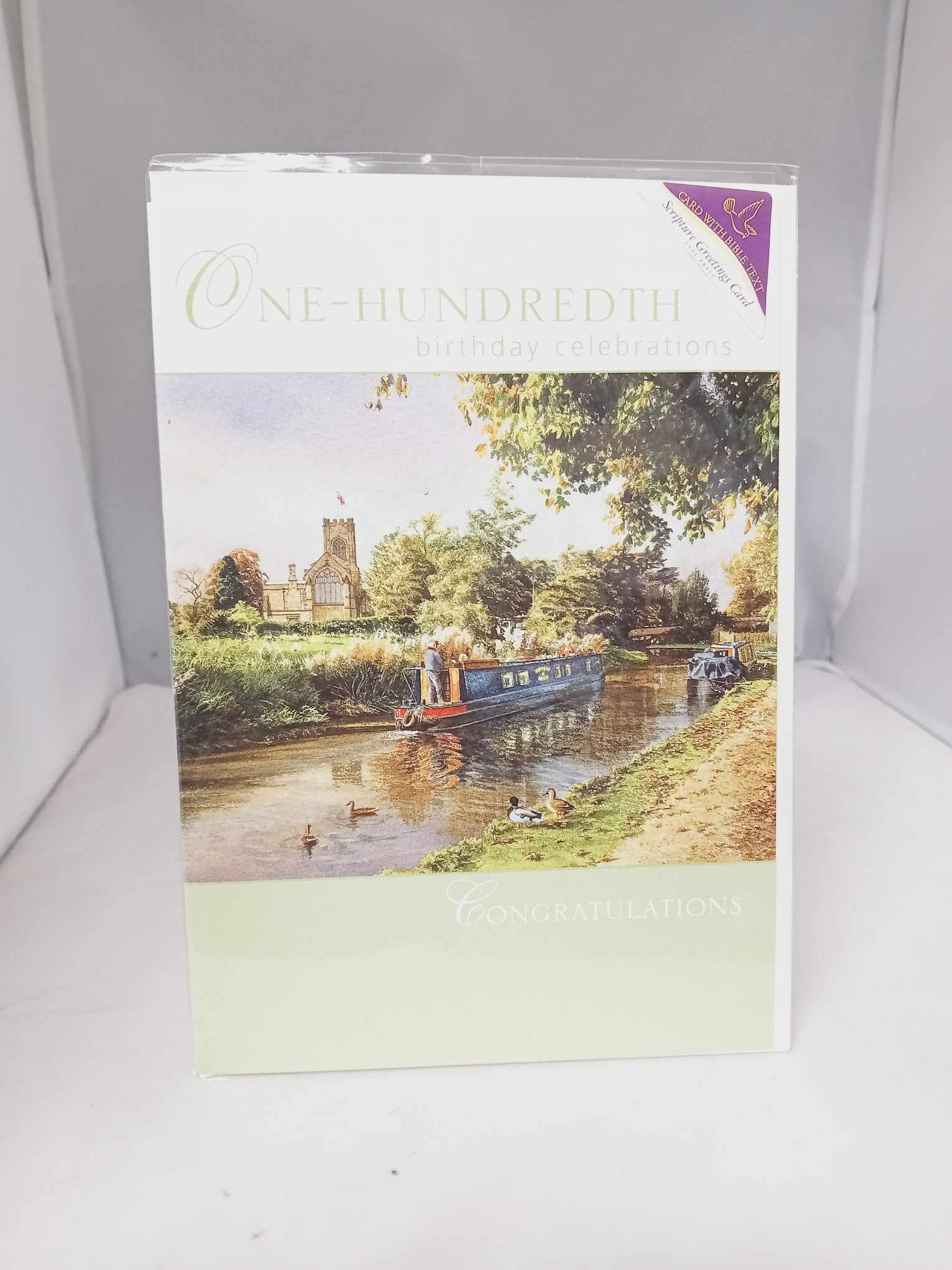 100th Birthday Greetings Card