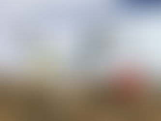 Letter from Liz: Nov 2, 2021