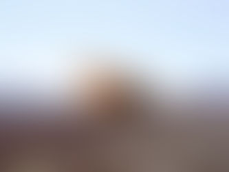 A Black Box for Everything