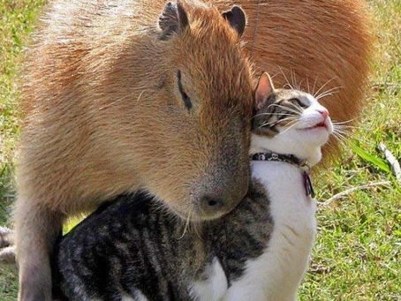 A Few of My Favorite Things