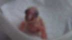 Welcome to the World