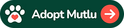 adopt-mutlu-cta.png