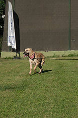 DSC04332.jpg