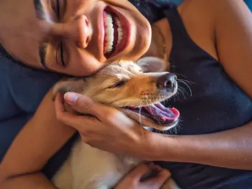 Köpeğinizin Sizi Çok Sevdiğini Gösteren 5 İşaret