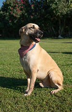 DSC04279.jpg