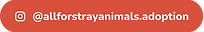 btn-ig-coral_1.png