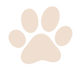ChatGPT Image Sep 21, 2026, 11_28_30 PM.png