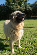 DSC04063.jpg