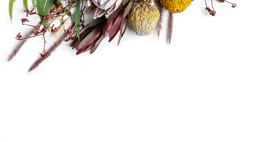 timeless-spa-vidola-protea-blume-4.png