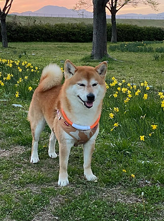 Qちゃん