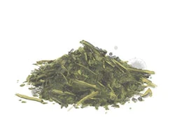 Watercolour drawing of grass