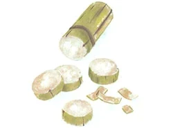 Watercolour drawing of sugar cane