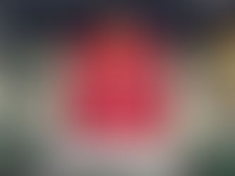 Upper St. Clair Mahogany Doors