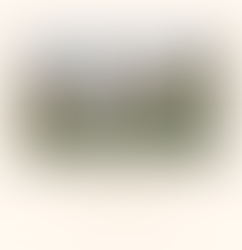 Mockup of a website above a typographic hierarchy example on a tan background