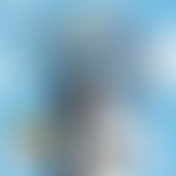 SEX TOYS, la guida definitiva. (PARTE 1)