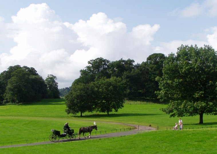 Restored carriage drive