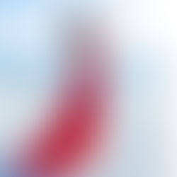 Miss France 2017, Marraine du Festival de Mode