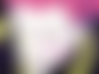 Would you guys date Hisoka?