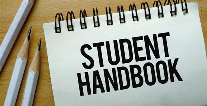 studetn handbook graphic.jpg