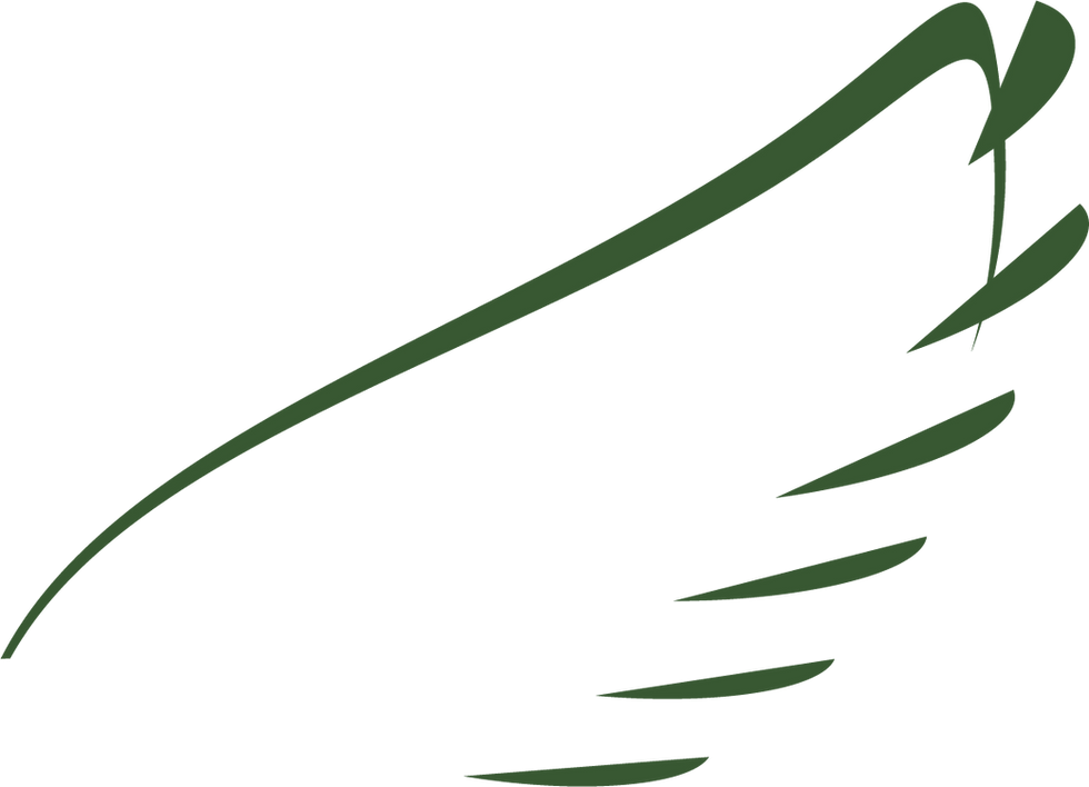 Wingstrand_redovisa_vinge grågrön.png