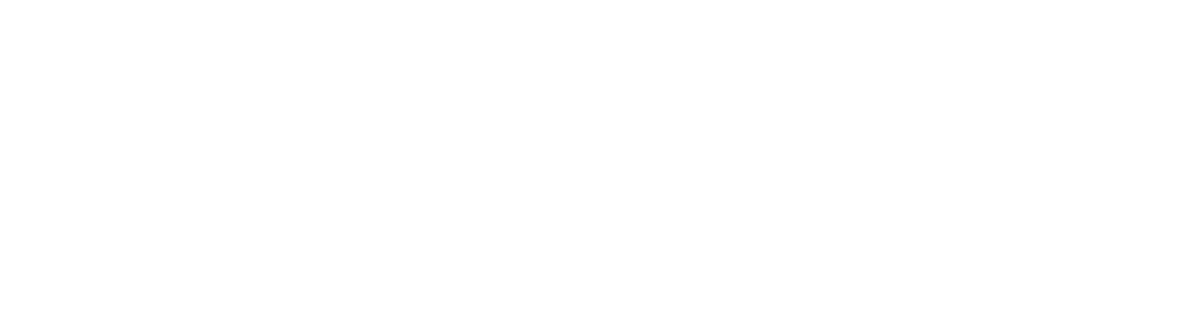 Wingstrand_Redovisa_loggo vit.png