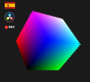 LUTS-REC.png