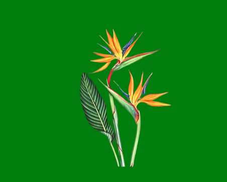 Writer: Bali Satay House