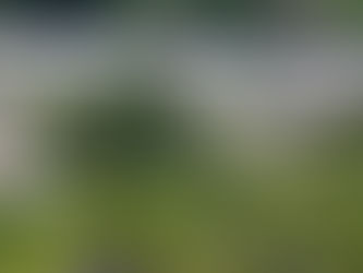 An Open Letter to the Australian People