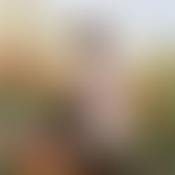 Discipleship is like a Garden