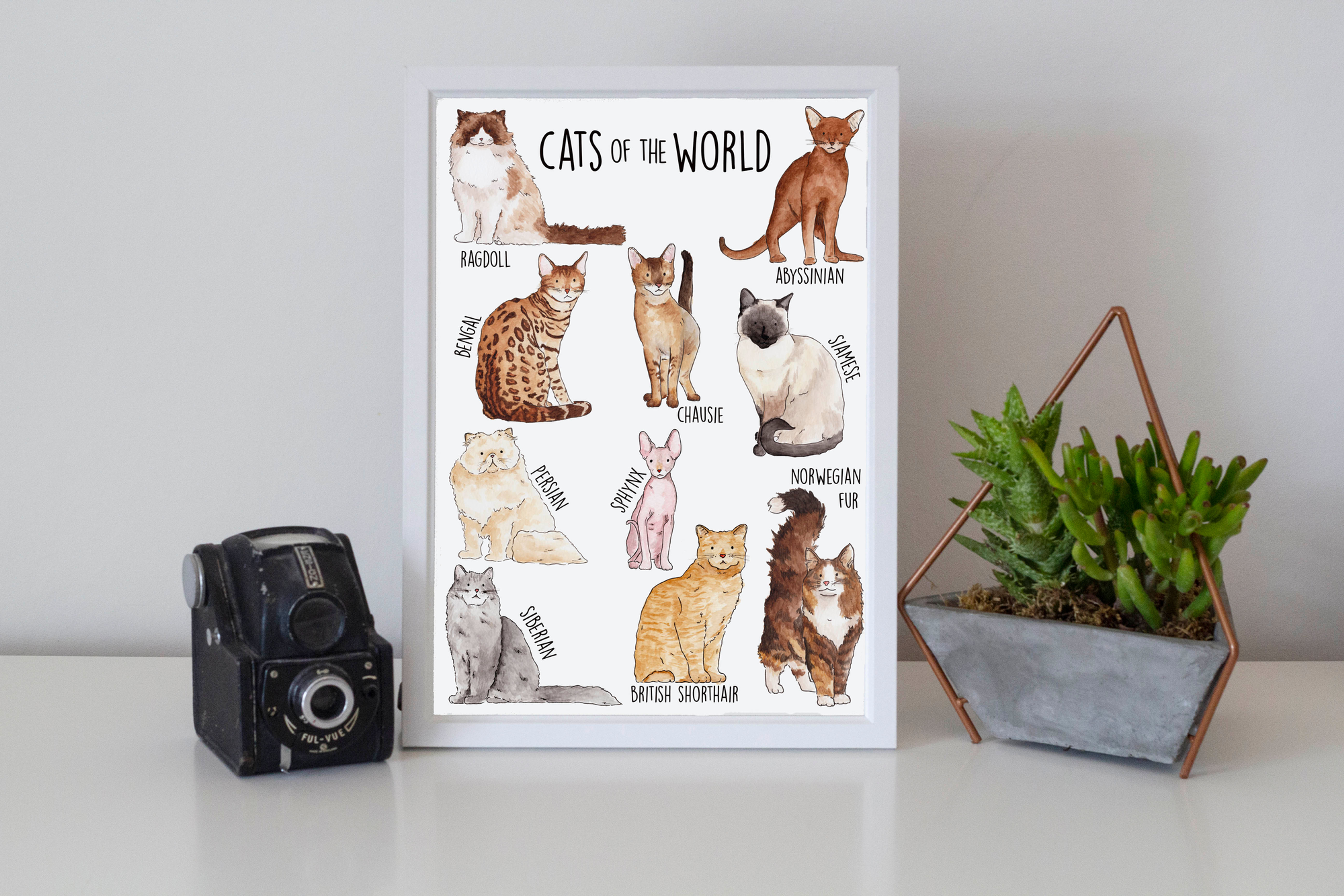 Cats of the World Watercolour Print