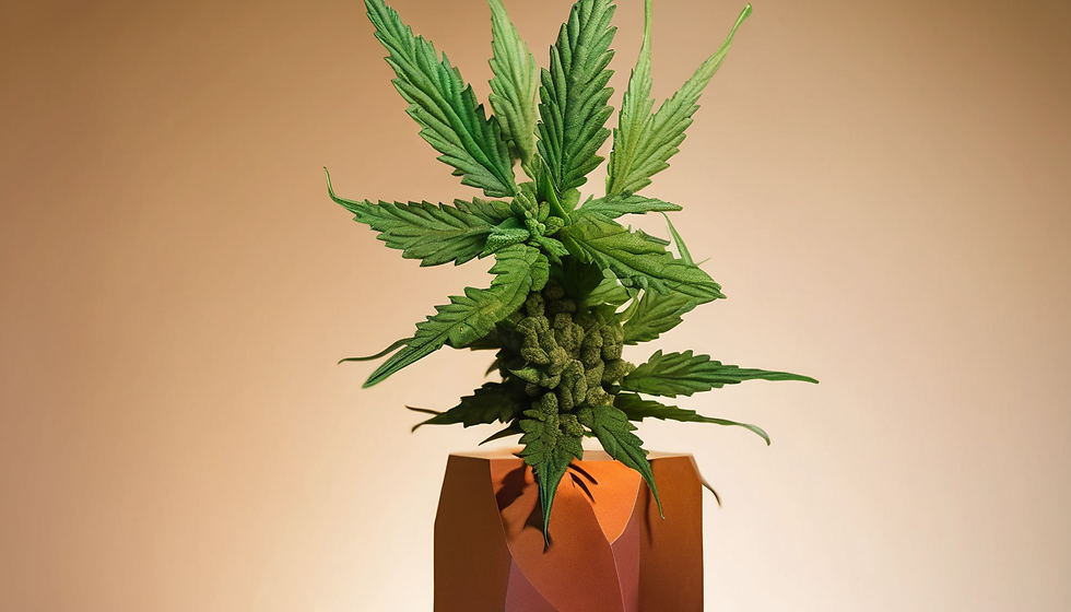 Cultural Cannabis Art Exhibition