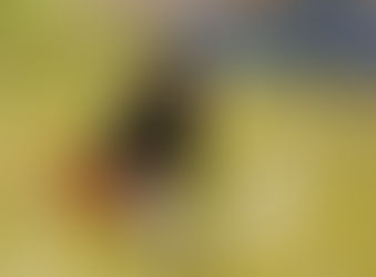 My First Coaching Session/Extra Training