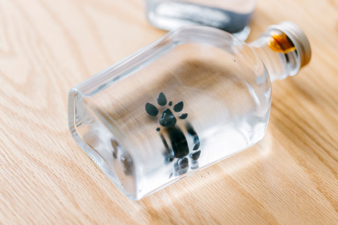 CR5_9423 のコピー.jpg