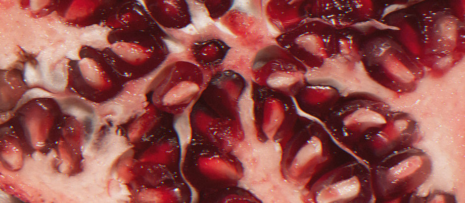 Lessons from the Anatomy & Dissection of a Pomegranate