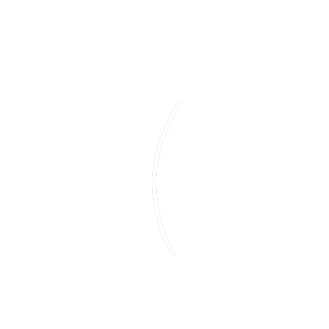 giphy.gif