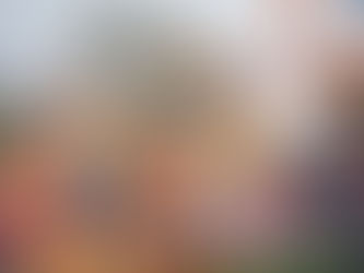 Oranjevereniging Koningsdag Zoekt Nieuwe Leden – Doe Mee en Vier Met Ons!