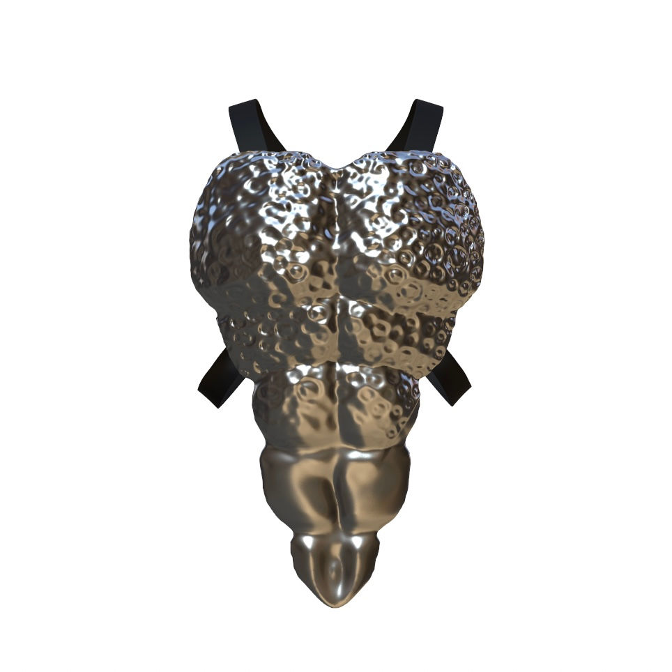 Thumbnail: CHEST . Bustier Texturé 1