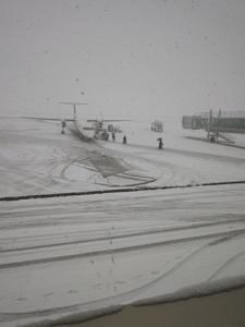 1428雪-48k.gif