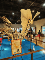 0502骨格3-24k.gif