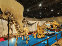 0502骨格2-24k.gif