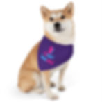Thumbnail: Pet Bandana Collar