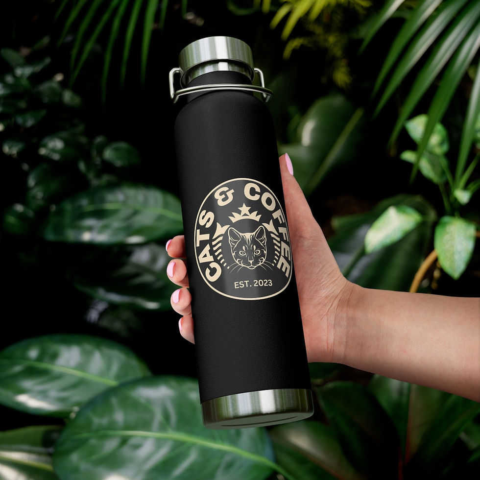Thumbnail: Copper Vacuum Insulated Bottle, 22oz