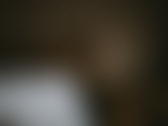 episode 13: An Encounter in the Backyard