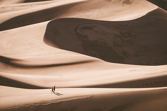 Walk in the Desert